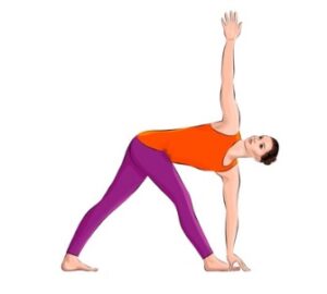 Grafik Frau in Pavritta Trikonasana